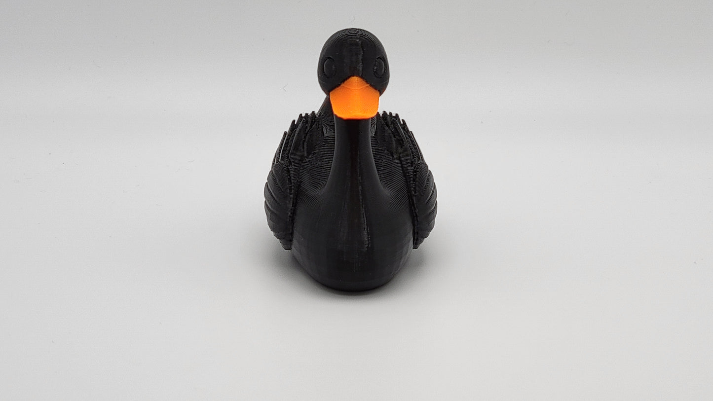 Black Swan Duck
