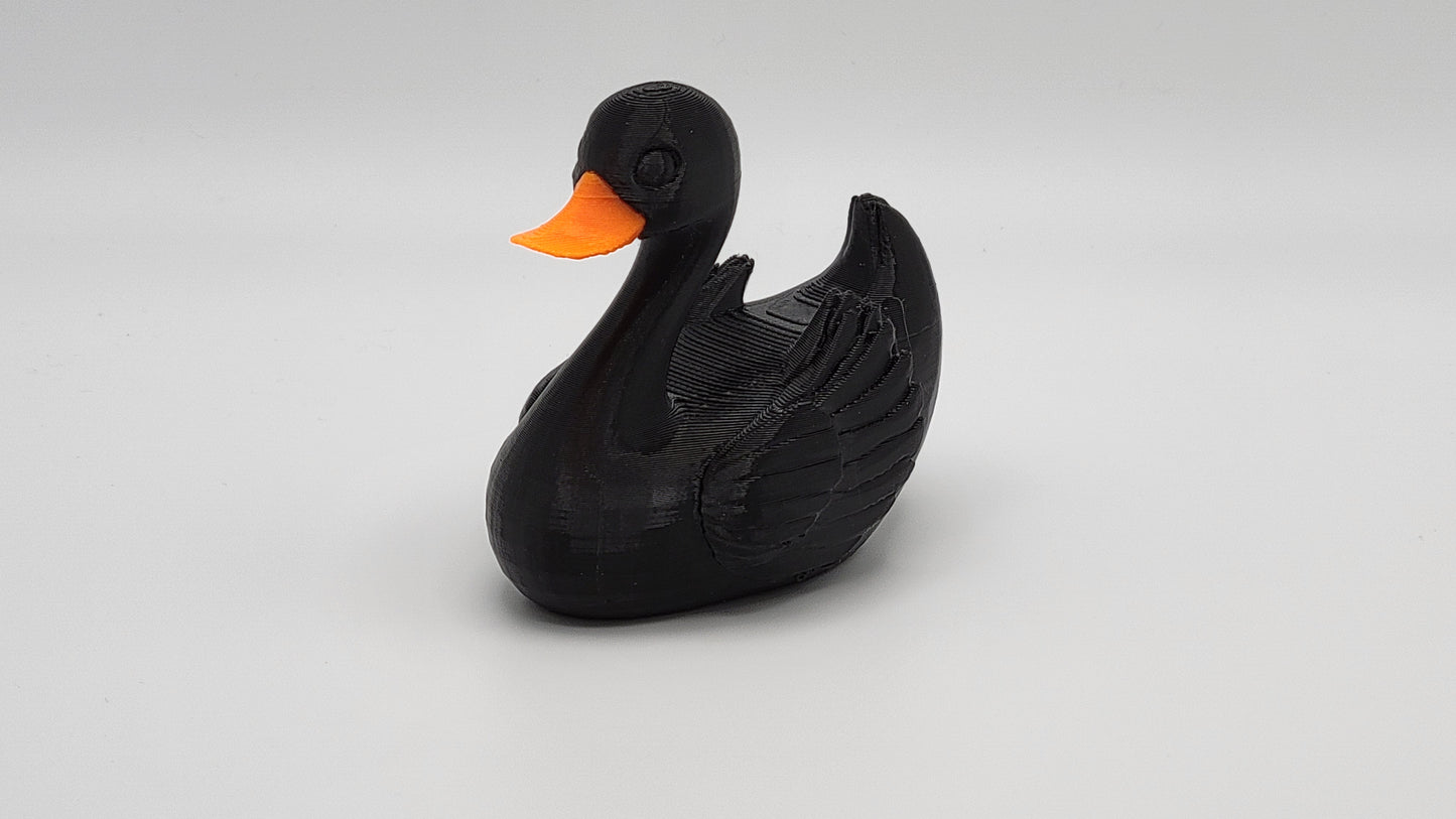 Black Swan Duck