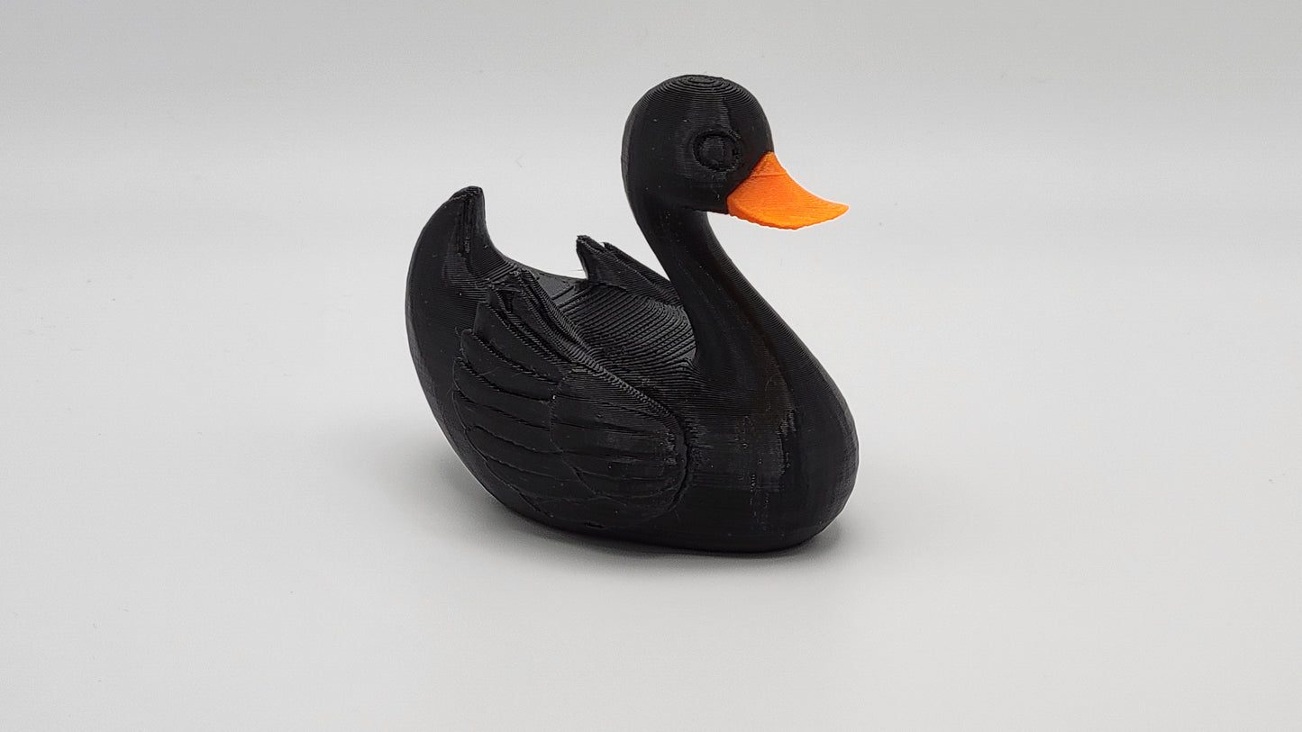 Black Swan Duck