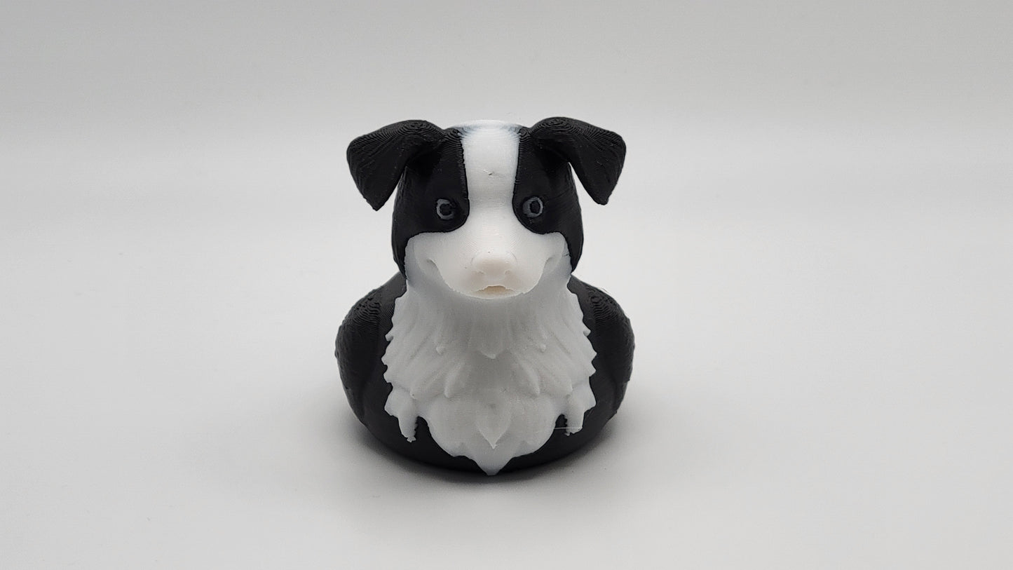 Border Collie Duck