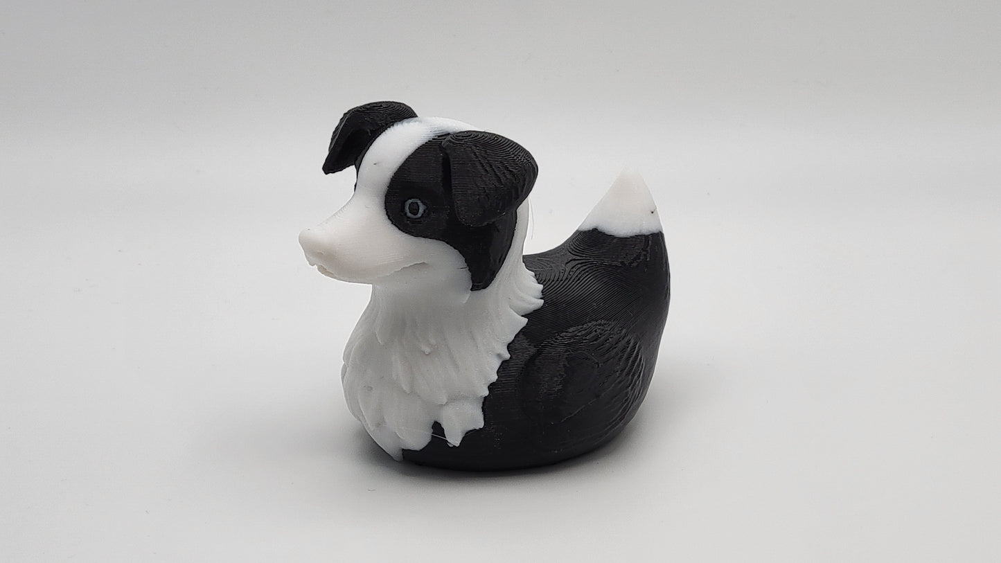 Border Collie Duck