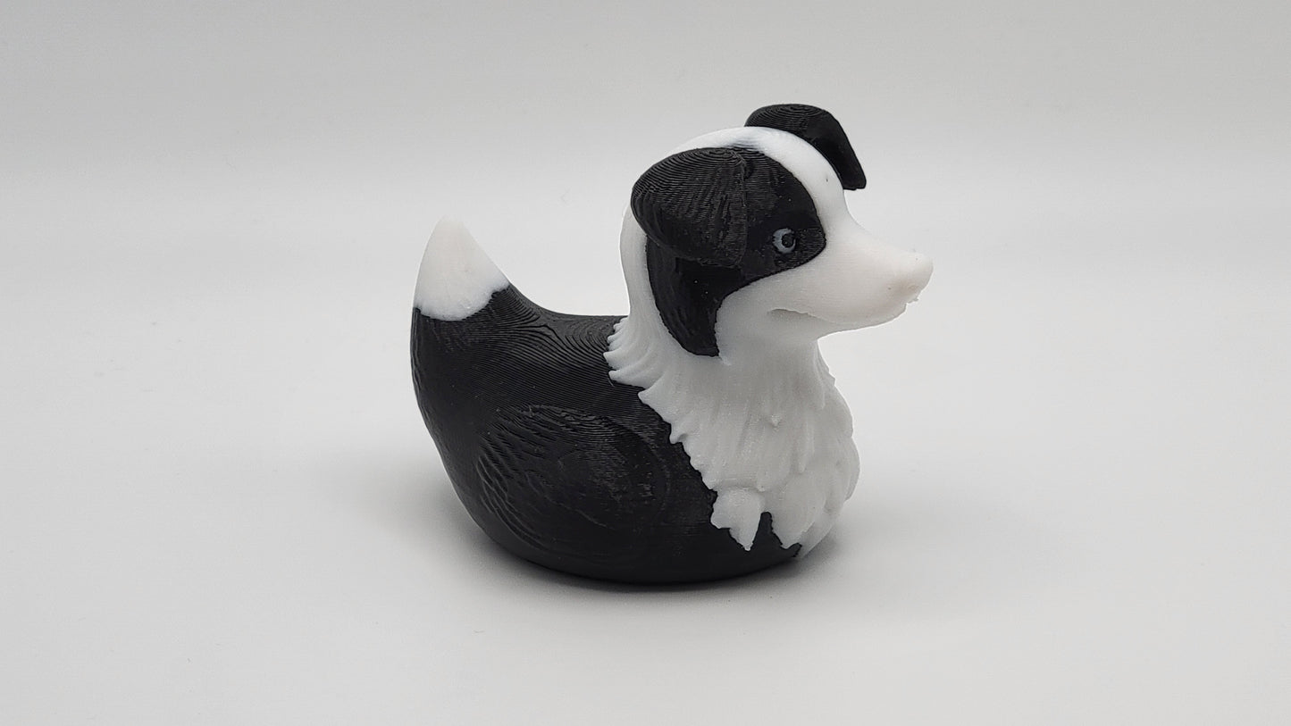 Border Collie Duck