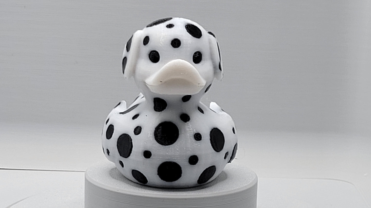 Dalmatian Duck