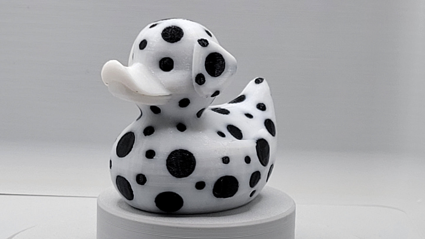 Dalmatian Duck