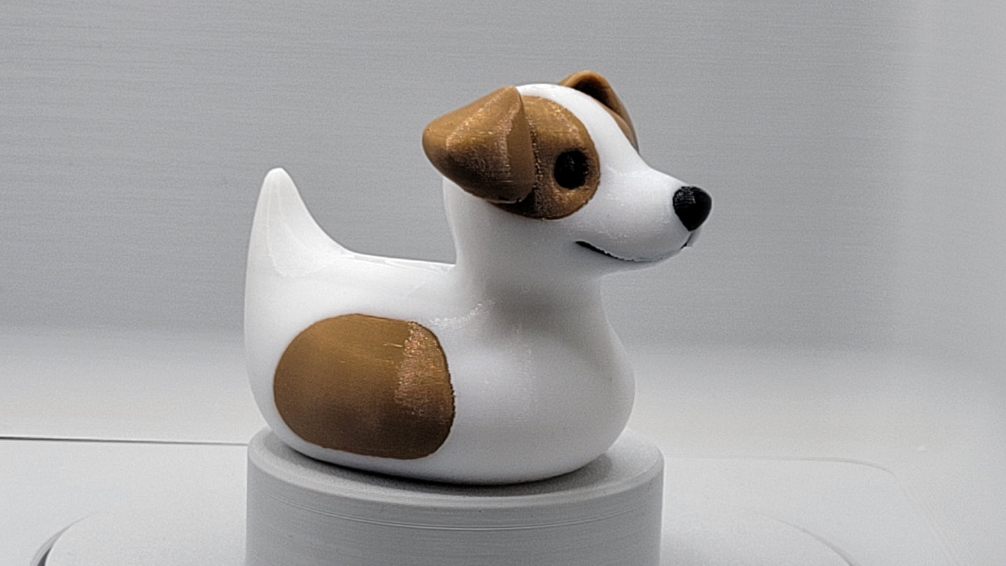 Jack Russell Terrier Duck