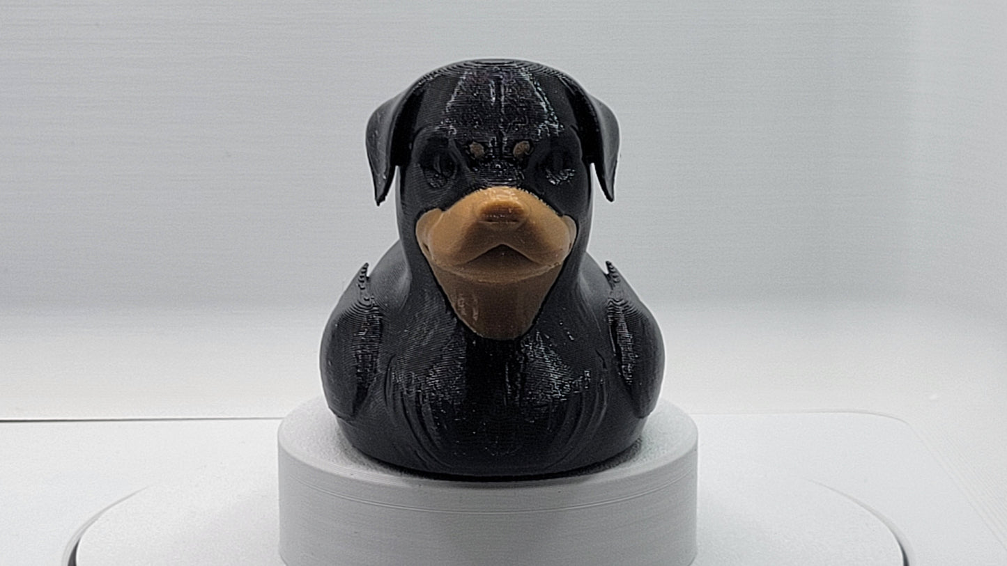 Rottweiler Duck
