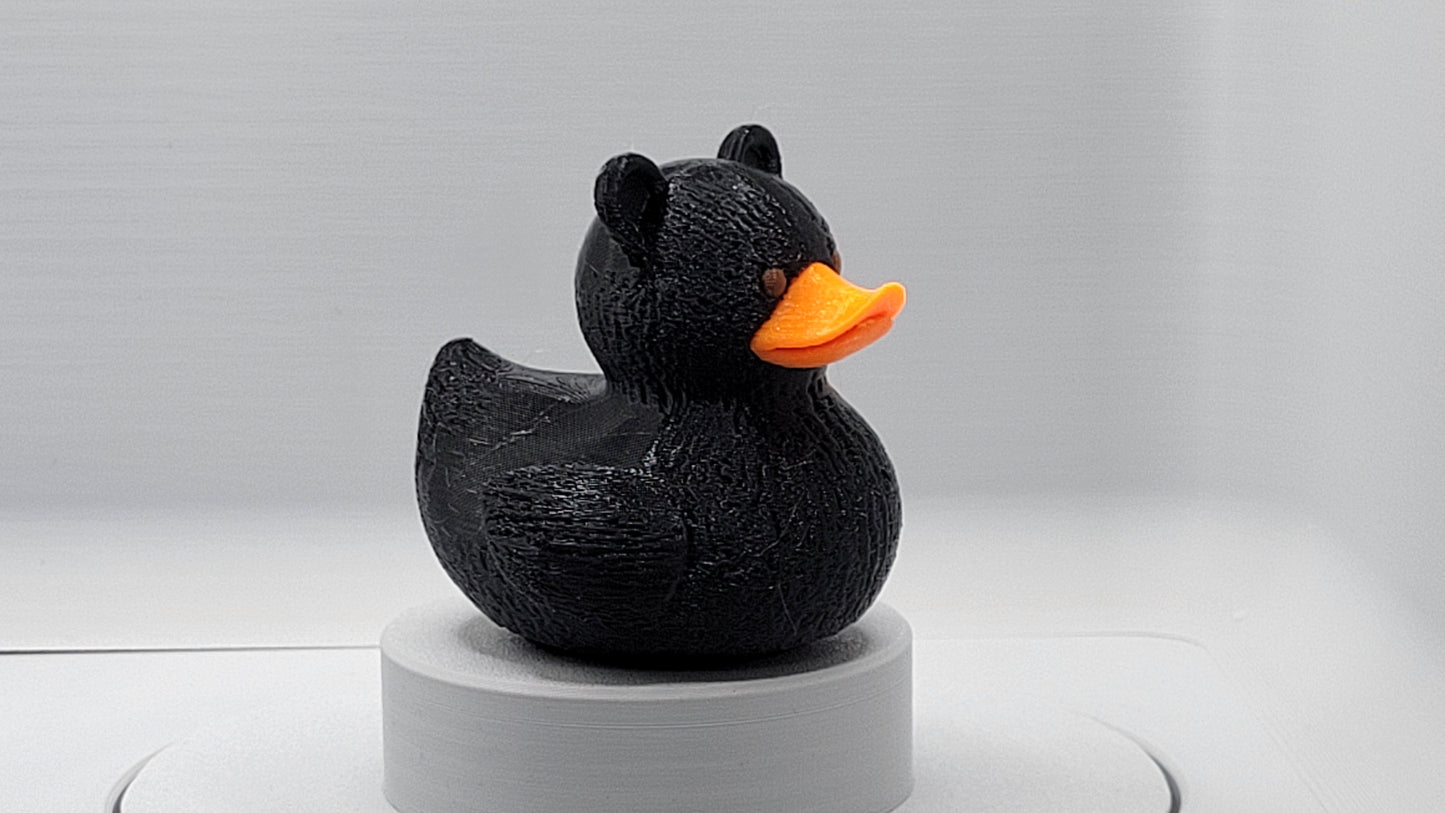Black Bear Duck