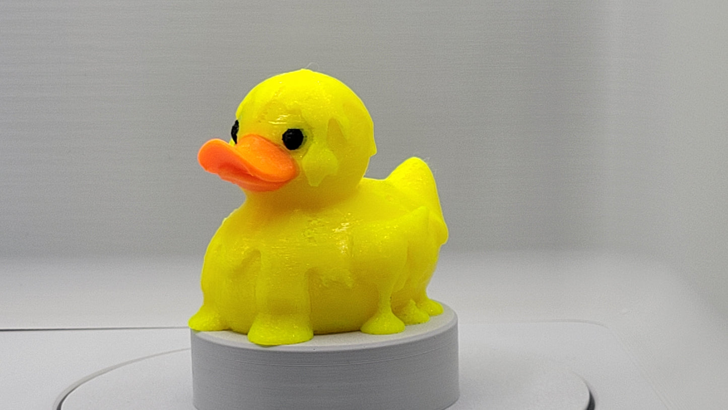 Melting Duck