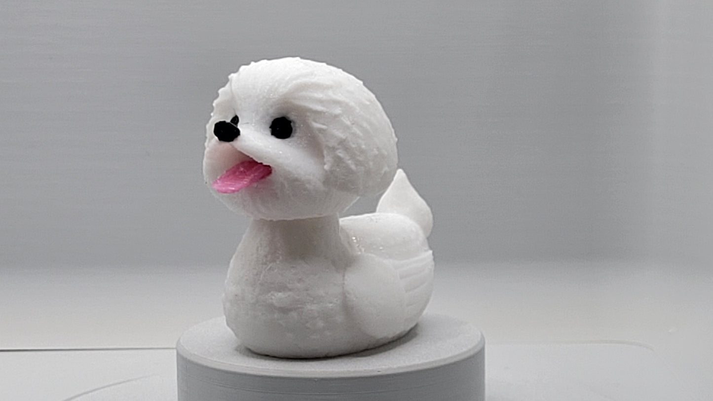Bichon Frise Duck