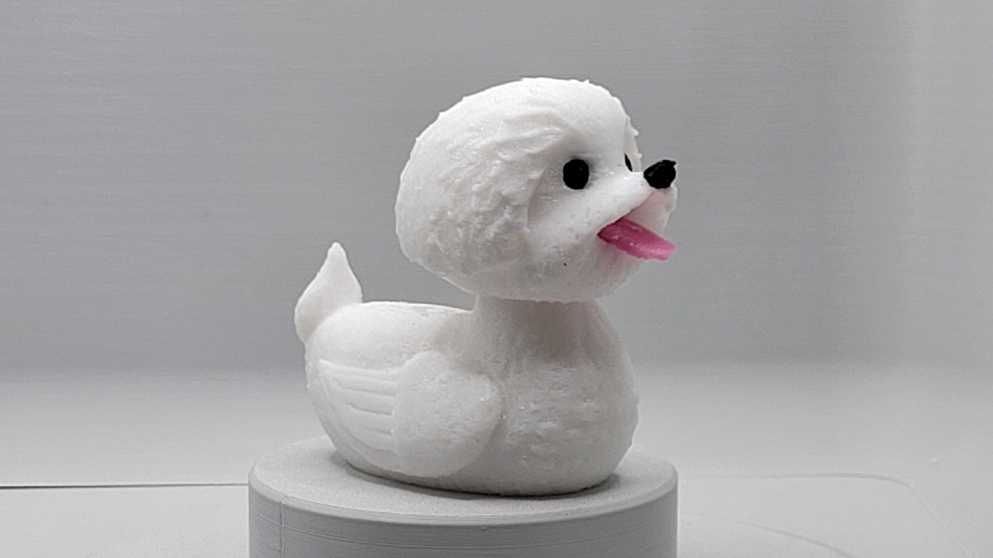 Bichon Frise Duck