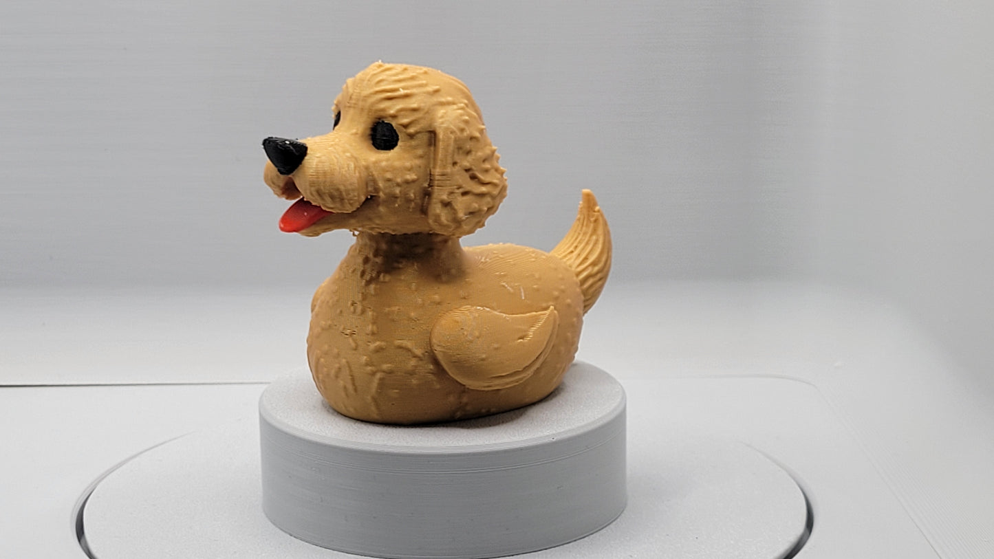 Golden Labradoodle Duck