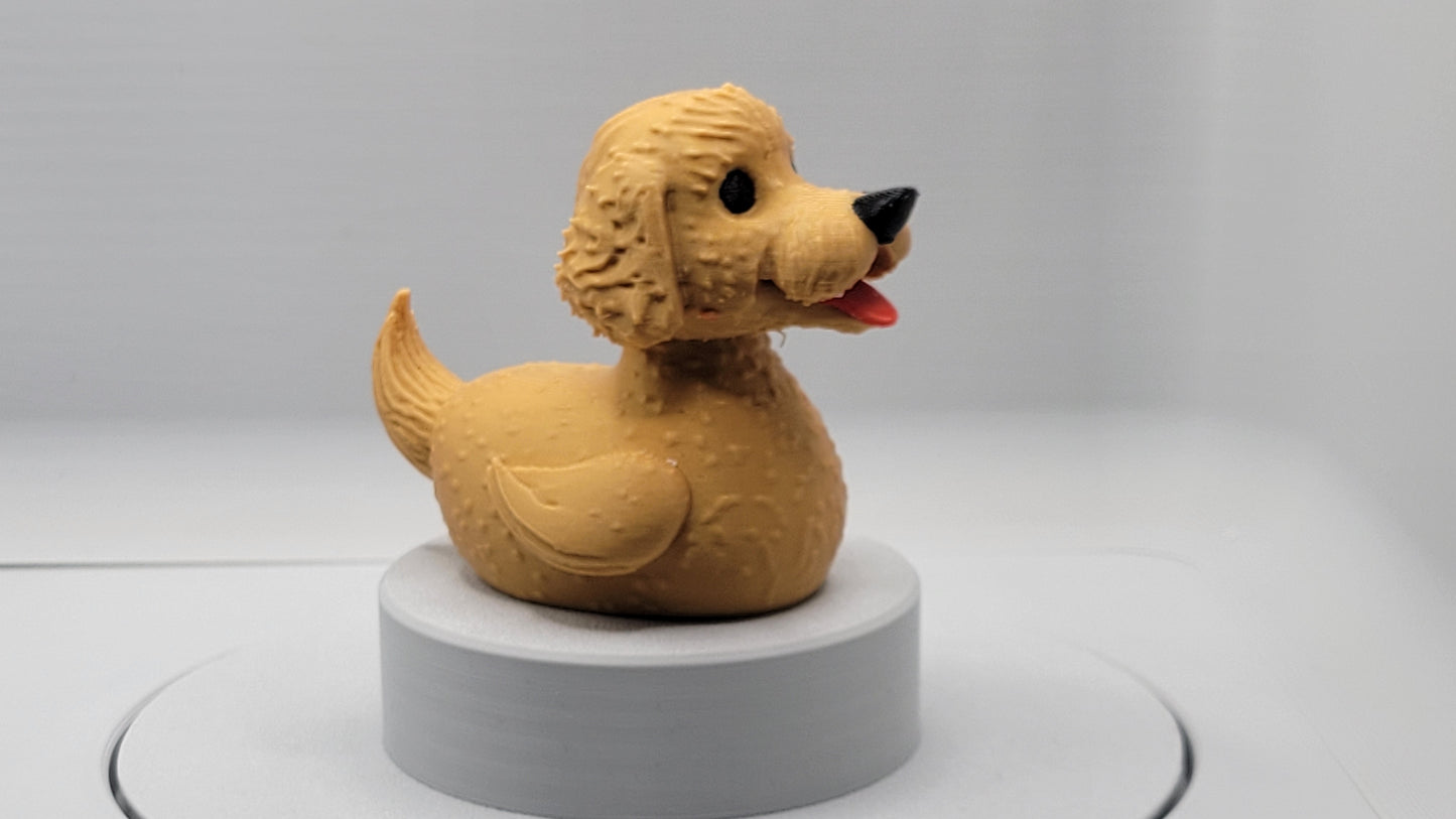 Golden Labradoodle Duck
