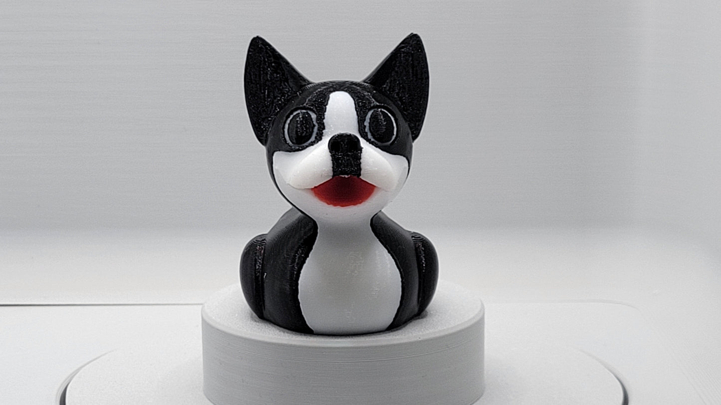 Boston Terrier Duck