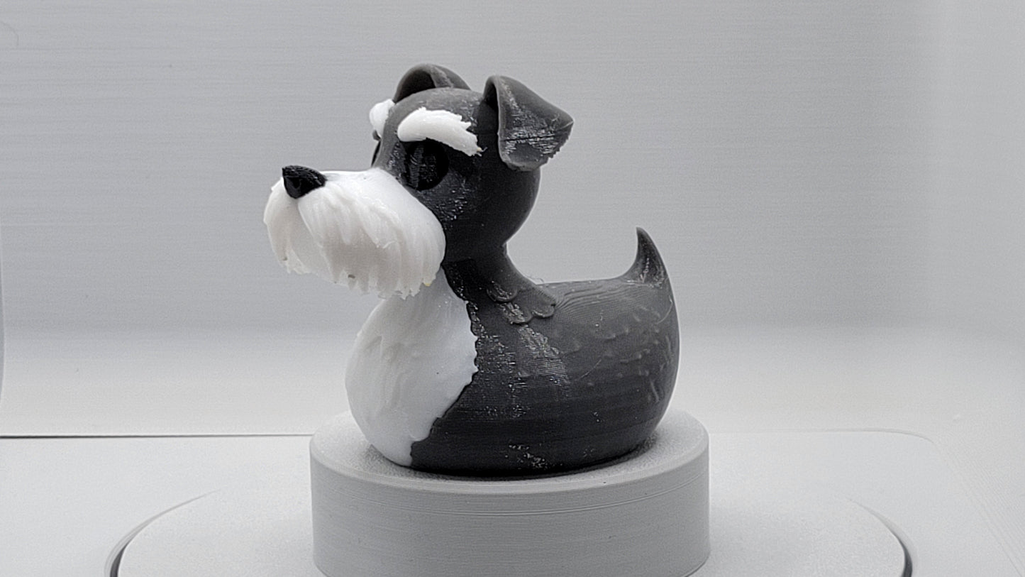 Schnauzer Duck