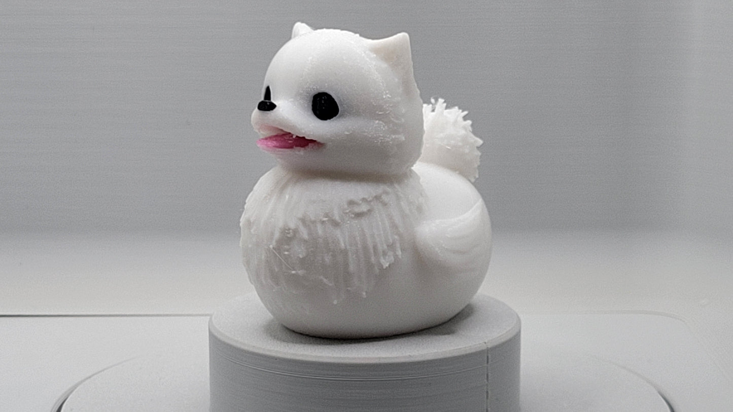 Pomeranian Duck