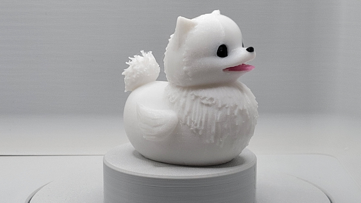 Pomeranian Duck