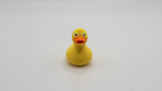 Mini Duck