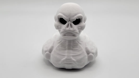 Skeleton Duck