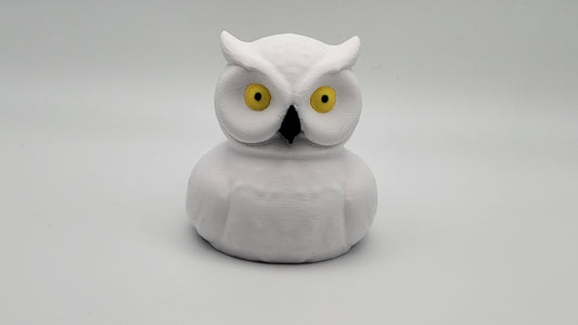 Owl Duck