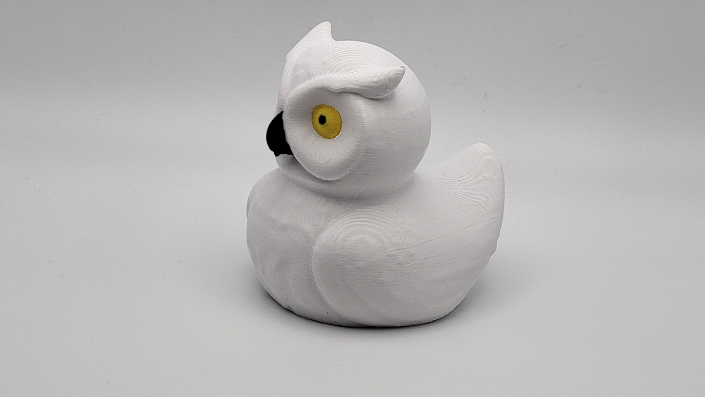 Owl Duck