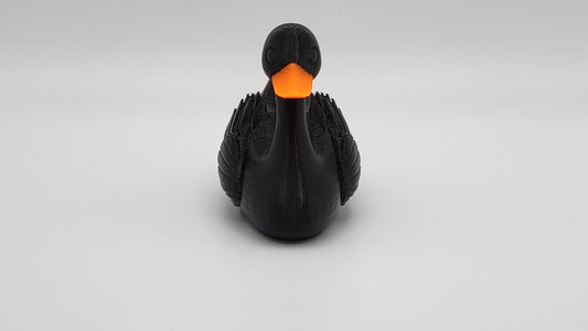 Black Swan Duck