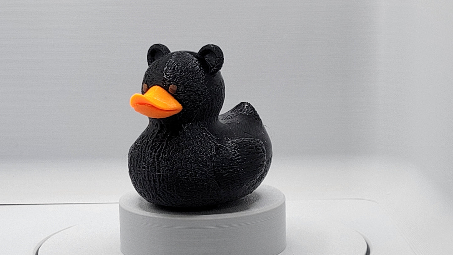 Black Bear Duck