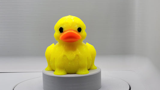 Melting Duck
