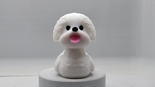 Bichon Frise Duck