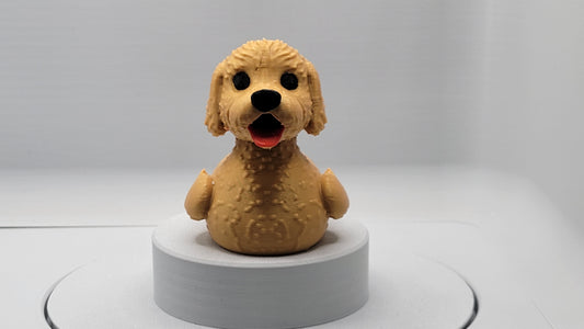 Golden Labradoodle Duck