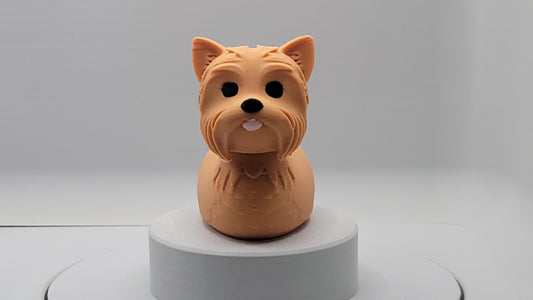 Yorkshire Terrier Duck