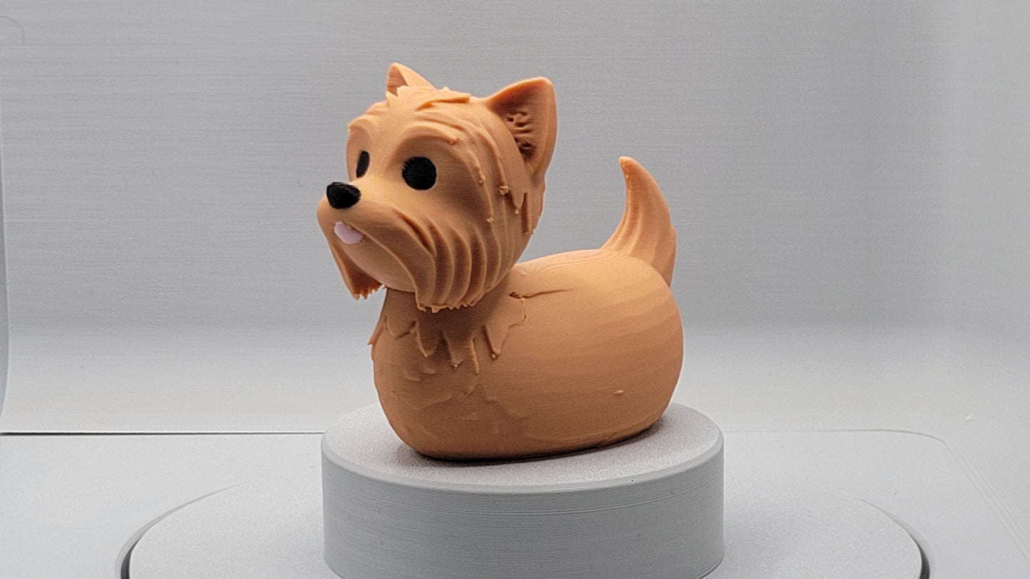 Yorkshire Terrier Duck