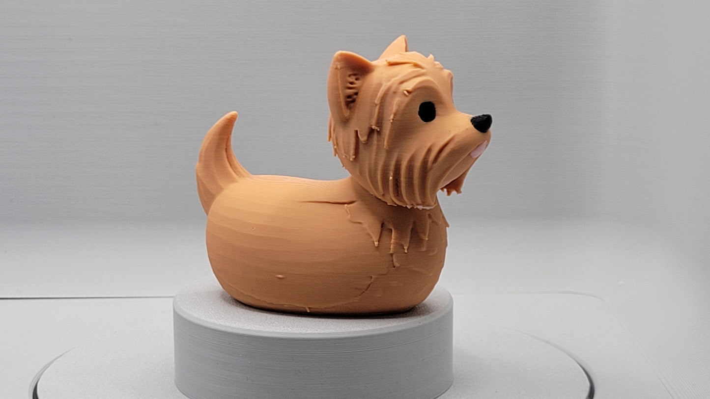 Yorkshire Terrier Duck