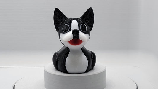 Boston Terrier Duck