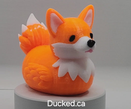 Corgi Duck