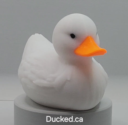 Pekin Duck