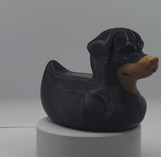 Rottweiler Duck